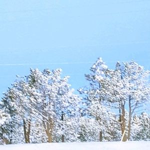 Meet your Posher, Deanne